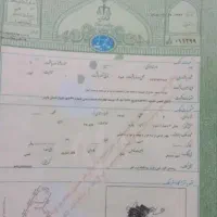 سنداجاره ای دارم مالک سندهستم