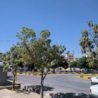 زمین-محرر