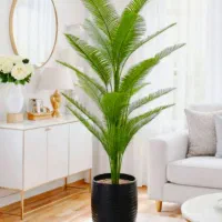 درختچه کنار سالنی