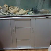 اکواریوم