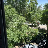 ۲۵۰ متر ویلایی دربست / ۳ طبقه /مناسب شرکت/سالن