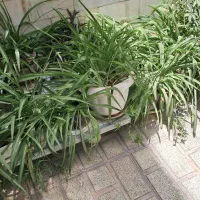 ویلایی ۷۲ متری فلکه چهارم