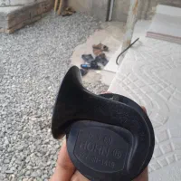 بوق حلزونی