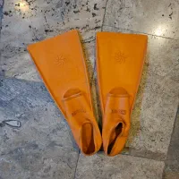 فین شنا