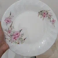 سرویس چینی ۶نفره گل سرخی توس چینی ۵تومن