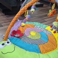 تشک بازی playgro