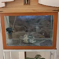 اکواریوم
