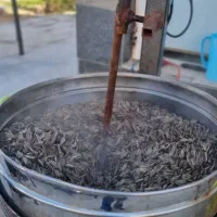 تخمه گردان