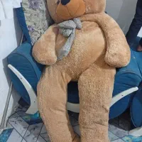 یک عدد خرس بزرگ به اندازه دو متر به فروش می رسد