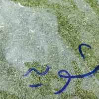 سبزی خشک نیشابور