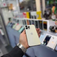 iPhone 13 Pro Max 256GB|موبایل|تبریز, |دیوار