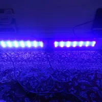 نور شرکتی  اکواریوم آبشور 2421 zetlight