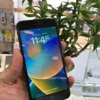 iPhone 8 Plus