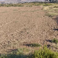 فروش-زمین-کشاورزی