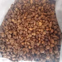 دان قهوه