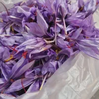 پایگاه برای توضیع گل زعفران گلبهار چناران و حومه