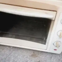 تستر همراه باجوجه گردون