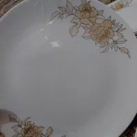 سرویس غذا خوری ارکوپال