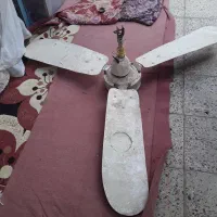پنکه سفقی عنبران