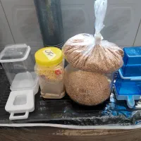 ارزن و سرلاک