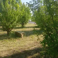 باغچه باغ دست اول