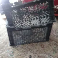 جعبه میوه مفت مفت کسی اگه لازم داره بیاد ببره