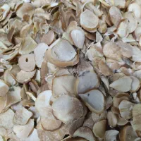 موسیر تلخ