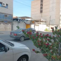 اجاره صندلی و تخت فوری در سالن زیبایی پیام اوران