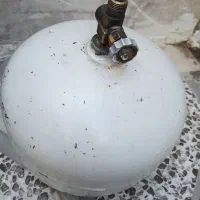 پیکنیک