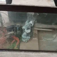 اکواریوم با تمام تجهیزاتش