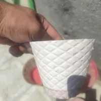 گلدان سفالی و پلاستیکی رنگی نو|گل و گیاه طبیعی|مشهد, کارمندان دوم|دیوار
