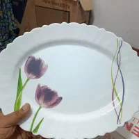 سرویس آرکوپال