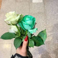 بهبود عکس