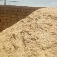 فروش کاه