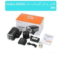 فلاش پرتابل گودگس