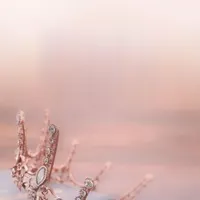 دعوت به همکاری در سالن زیبایی زنانه