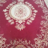 فرش|فرش|شیراز, گویم|دیوار