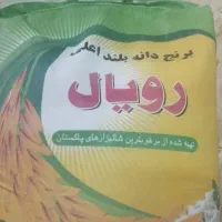 برنج دانه بلندرویال ضمانتی