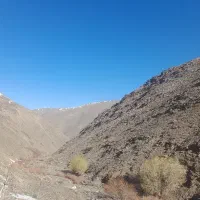ریواس