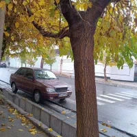 پراید ۱۳۲ فوری فروشی عالی مدل۸۸