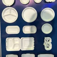 ظروف یکبار مصرف کاغذی