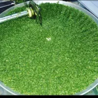 سبزی خرد شده همه جوره 80