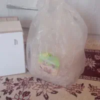 لانه پرنده و مقداری پوشال