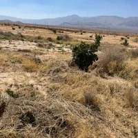 زمین-کشاورزی-25هکتاری