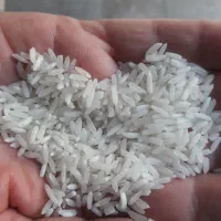 برنج
