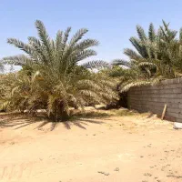 سلام نیازمند کارگر برای کار در باغ