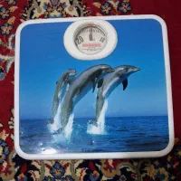 ترازو عقربه ای در حدنو