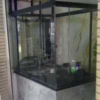کرکره برقی وشیشه سکوریت