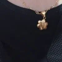 پلاک گمشده .