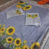 رو تختی|سرویس روتختی|کرج, حسن آباد|دیوار